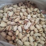 پسته کله قوچی