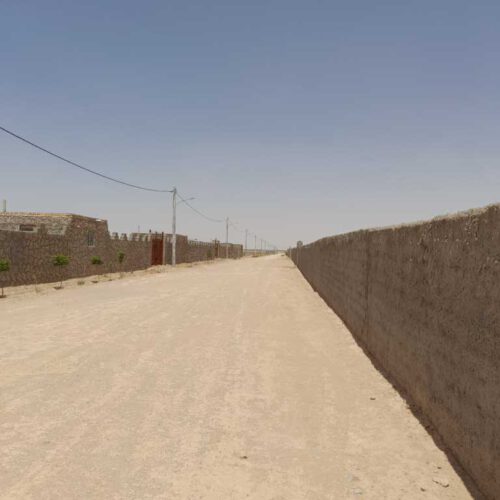 زمین  باغی فروشی سند تک برگ واقع در فساران