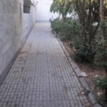 فروش یک واحد آپارتمان در شاخه اصلی