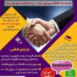 مدیریت و نمایندگی و کارشناس فروش بیمه سامان