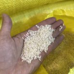 برنج سرلاشه هاشمی