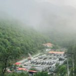 کارگر جهت کار در پرورش ماهی