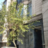 خانه تک واحدی شهرآرا